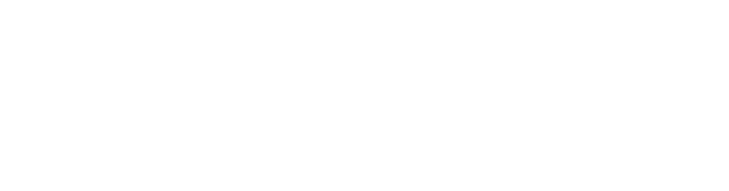 LOGO FEVAP